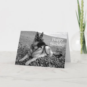 German Shepherd Puppy Dog Happy Birthday Card