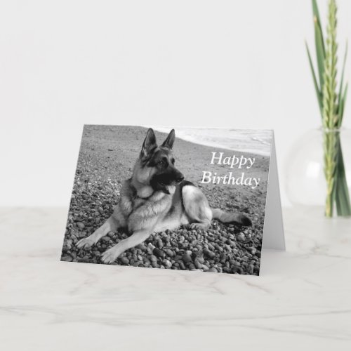 German Shepherd  Puppy Dog  Happy Birthday Card