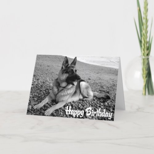 German Shepherd  Puppy Dog  Happy Birthday Card