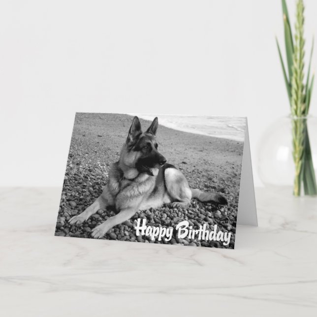 German Shepherd  Puppy Dog  Happy Birthday Card (Front)
