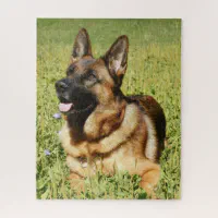 Sable German Shepherd Dog Jigsaw Puzzle