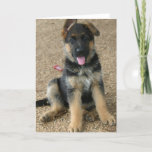 German Shepherd Puppy Greeting Card