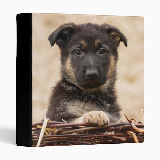 German Shepherd Puppy In Basket 3 Ring Binder (Front/Spine)