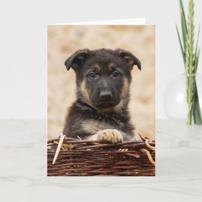 German Shepherd Puppy In Basket Card (Front)