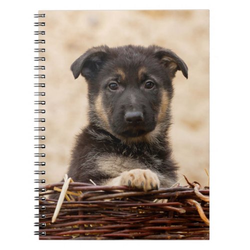 German Shepherd Puppy In Basket Notebook