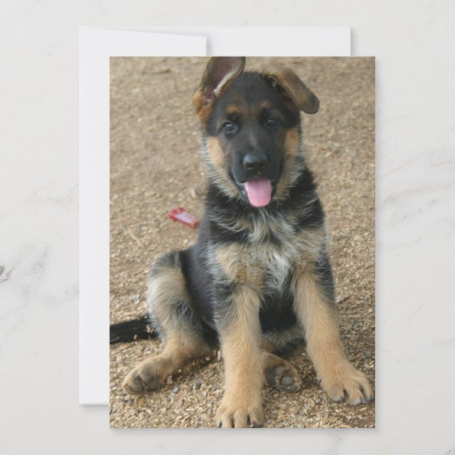 German Shepherd Puppy Invitation (Front)