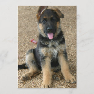 German Shepherd Puppy Invitation