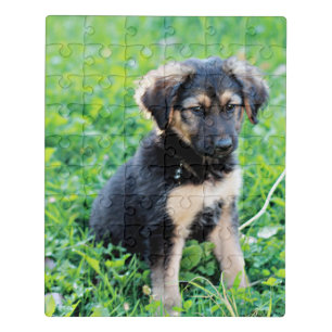 German Shepherd Puppy Jigsaw Puzzle