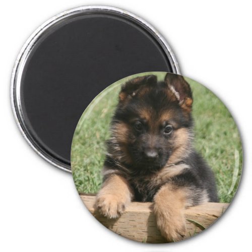 German Shepherd Puppy Magnet