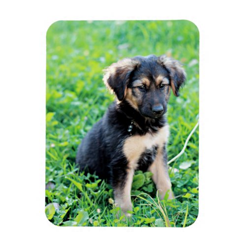 German Shepherd Puppy Magnet
