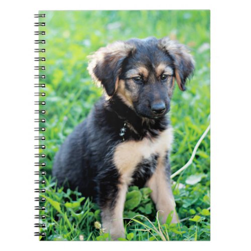 German Shepherd Puppy Notebook