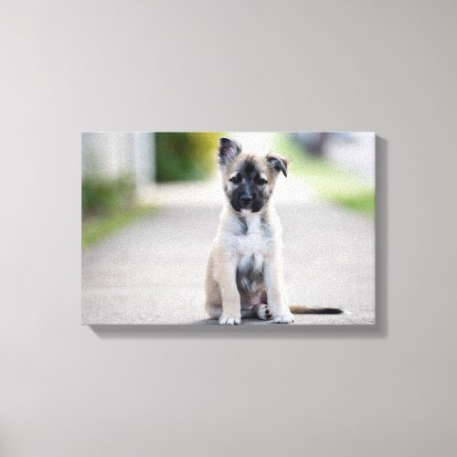 German Shepherd Puppy on Footpath Canvas Print