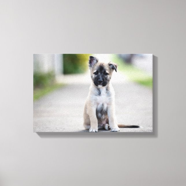 German Shepherd Puppy on Footpath Canvas Print (Front)