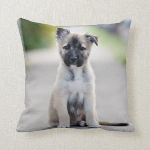German Shepherd Puppy on Footpath Throw Pillow
