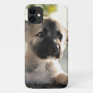 German Shepherd Puppy Over Ledge iPhone 11 Case