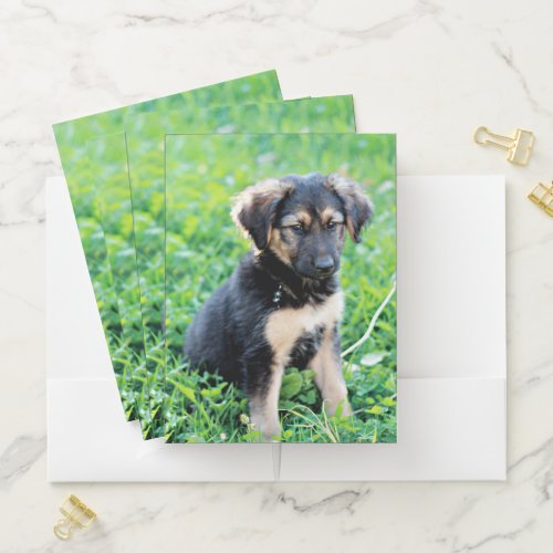 German Shepherd Puppy Pocket Folder