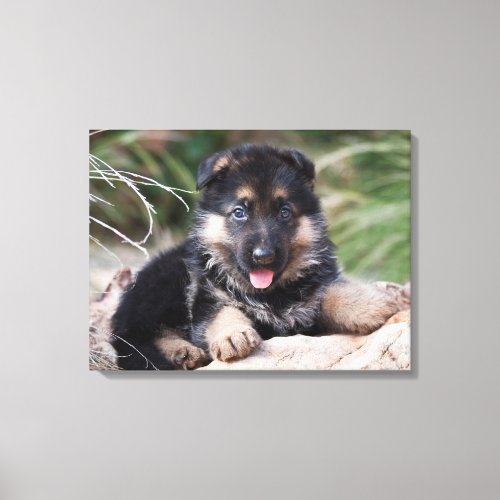 German Shepherd Puppy Portrait Canvas Print