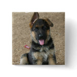 German Shepherd Puppy Square Pin