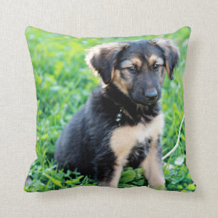 German Shepherd Puppy Throw Pillow
