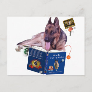 German Shepherd Reading Book Postcard