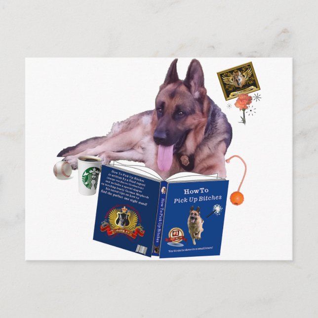 German Shepherd Reading Book Postcard (Front)