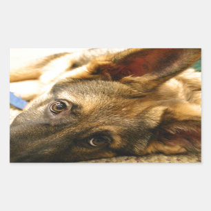 German Shepherd Rectangular Sticker