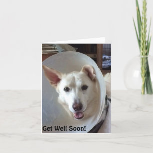 German Shepherd Rescue Central Texas Get Well Card