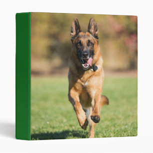 German Shepherd Running 3 Ring Binder