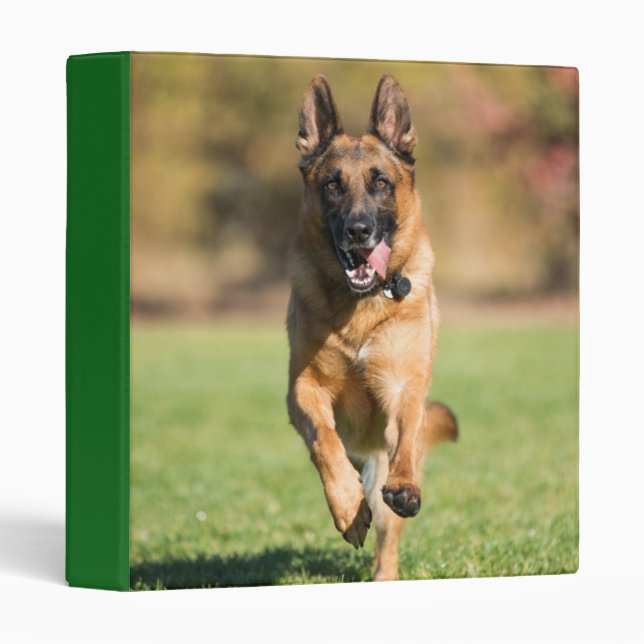 German Shepherd Running 3 Ring Binder (Front/Spine)
