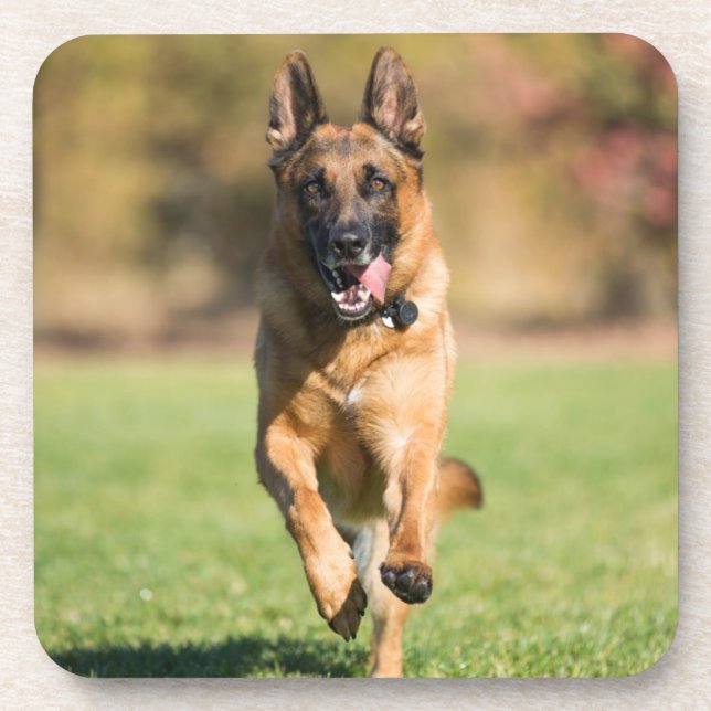 German Shepherd Running Beverage Coaster (Front)