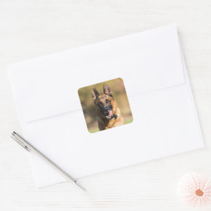 German Shepherd Running Square Sticker