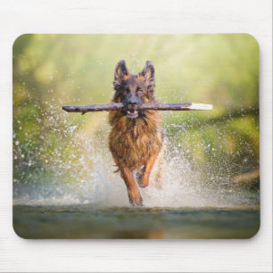 German Shepherd Running with Stick Mouse Pad