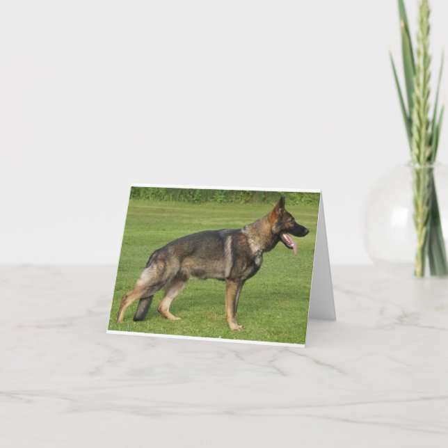 German Shepherd Sable Full Card (Front)