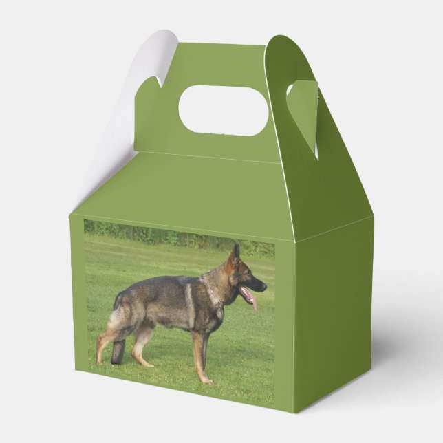 German Shepherd Sable Full Favor Boxes (Front Side)