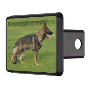 German Shepherd Sable Full Hitch Cover
