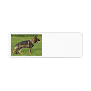 German Shepherd Sable Full Label