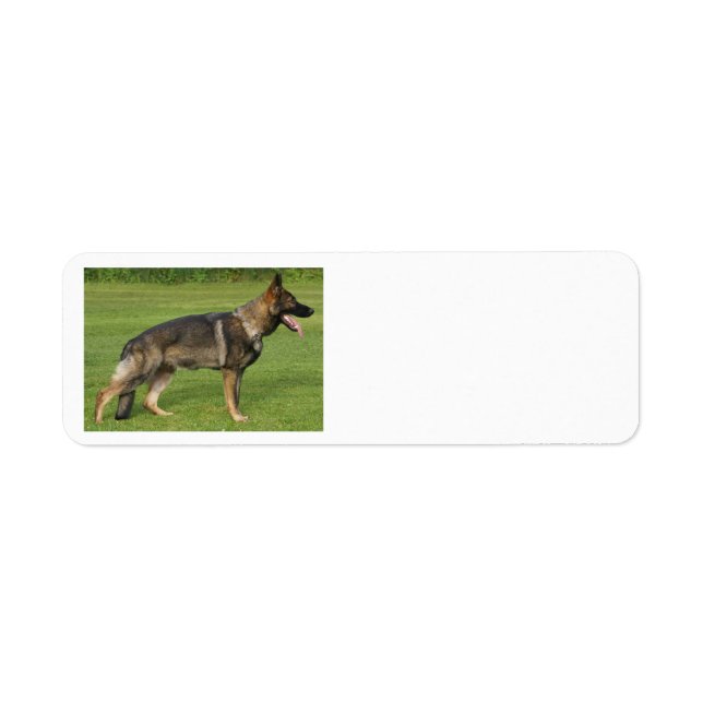 German Shepherd Sable Full  Label (Front)