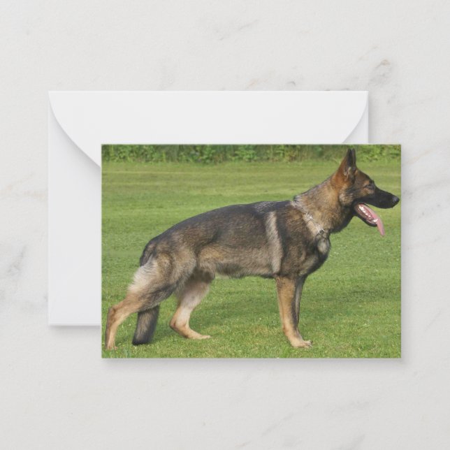 German Shepherd Sable Full Note Card (Front)