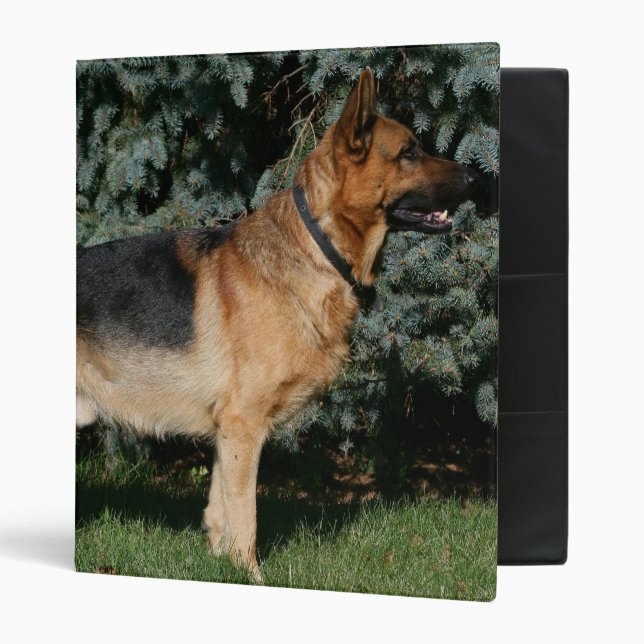 German Shepherd Show Stand Binder (Front/Inside)