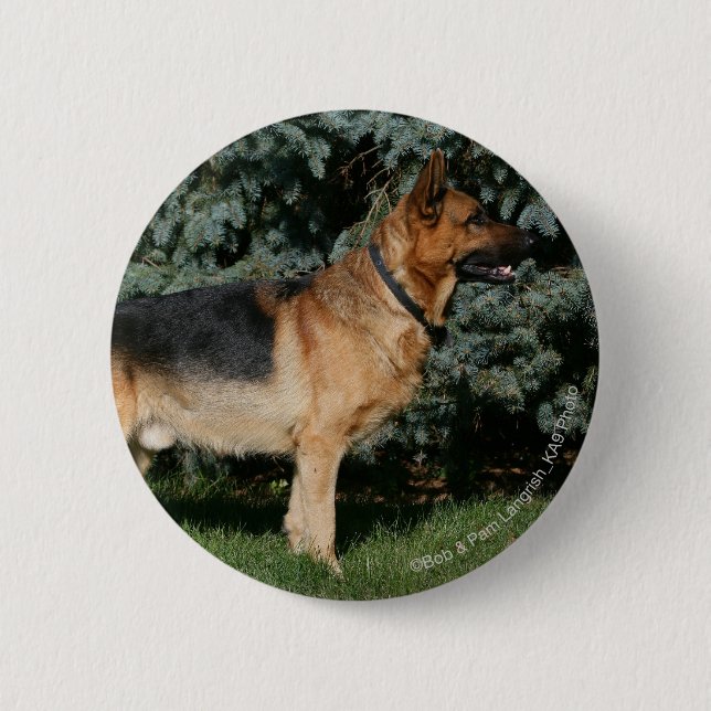 German Shepherd Show Stand Button (Front)