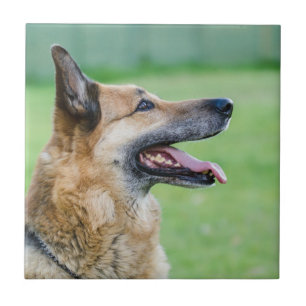 German Shepherd Side Portrait Ceramic Tile