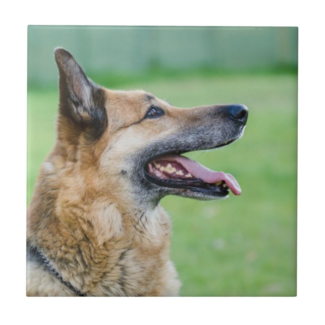 German Shepherd Side Portrait Ceramic Tile (Front)
