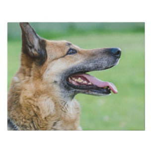 German Shepherd Side Portrait Faux Canvas Print