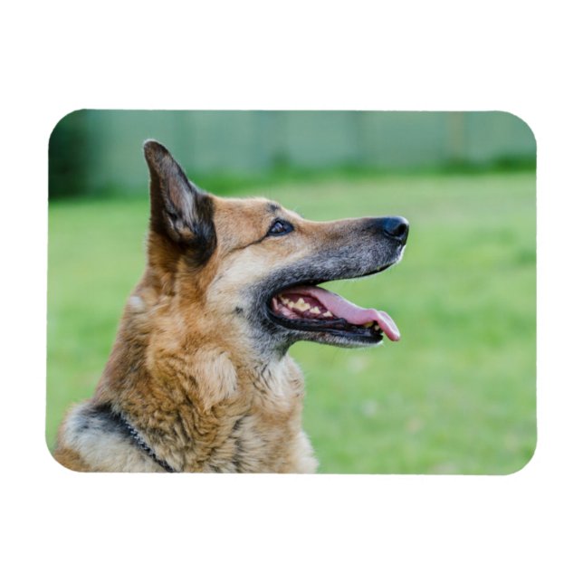 German Shepherd Side Portrait Magnet (Horizontal)