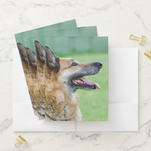 German Shepherd Side Portrait Pocket Folder