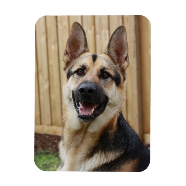 German Shepherd Sitting Magnet (Vertical)