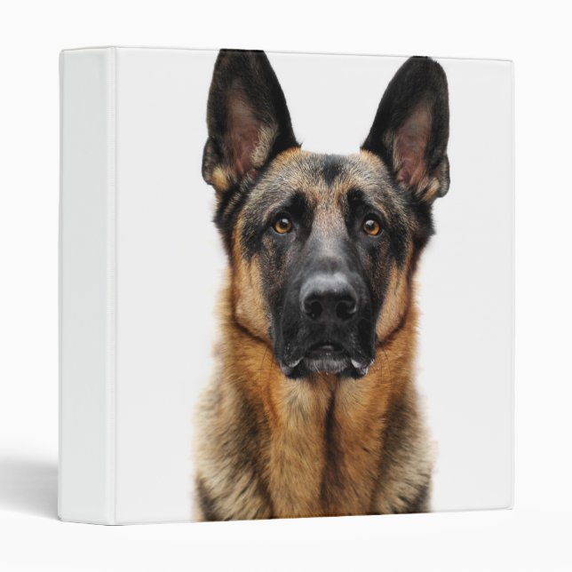 German Shepherd Sitting Up 3 Ring Binder (Front/Spine)