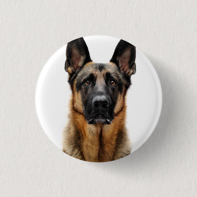 German Shepherd Sitting Up Button (Front)