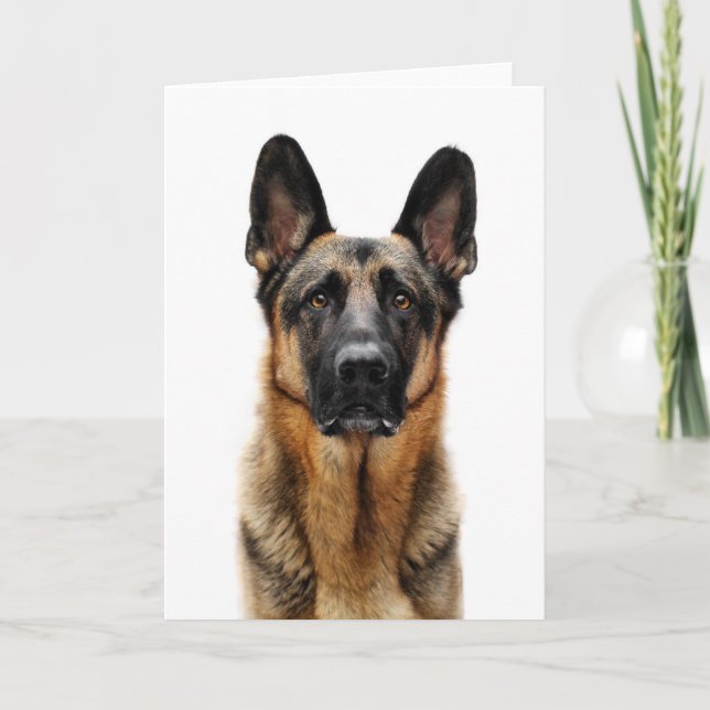 German Shepherd Sitting Up Card (Front)