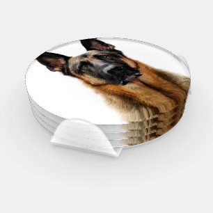 German Shepherd Sitting Up Coaster Set